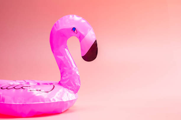 istock Inflatable Flamingo on a pink background, summer background,pool float party, trendy summer concept 1482586281