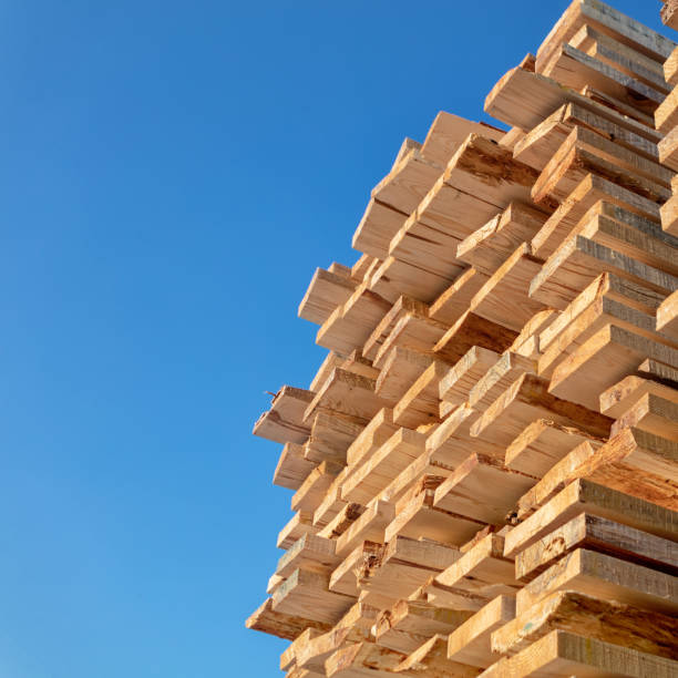 istock Piles of wooden planks. 1482588049