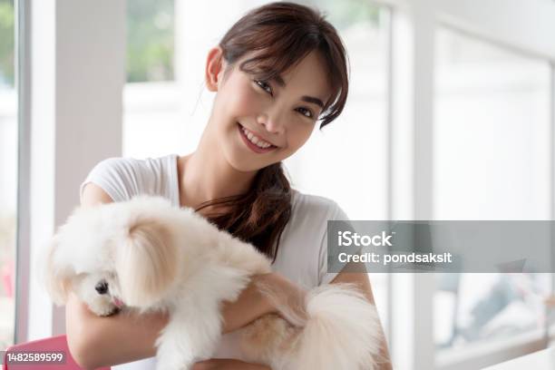家で犬のチワワを持つアジアの若い笑顔の女性。