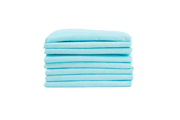 istock Dog toilet, pet absorbent diaper pad isolated 1482597442