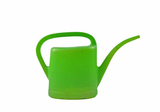istock Green watering can isolated on white background 1482598560
