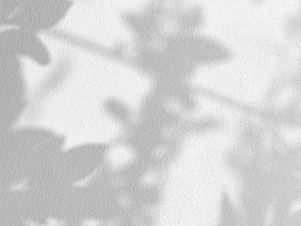 istock Seamless texture of white cement wall a rough surface and leaf shadow, with space for text, for a background 1482605174