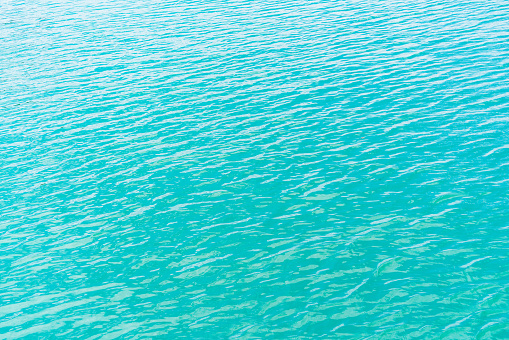 The surface of the sea, which has a shimmering blue-green color. The water looks calm and tranquil, with small waves creating ripples on the surface.