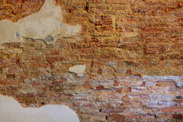 istock A deteriorated red brick wall serves as the background. 1482605787