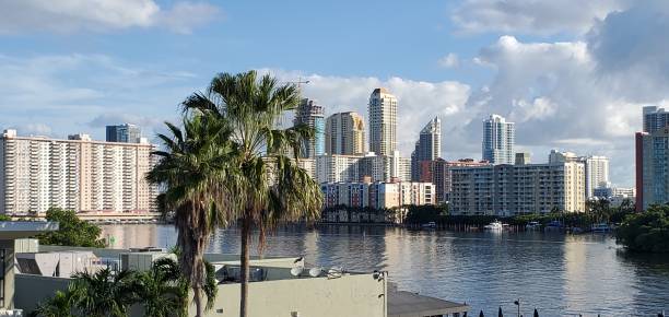 istock North Miami Beach Palm Tree View of Sunny Isles 1482615145