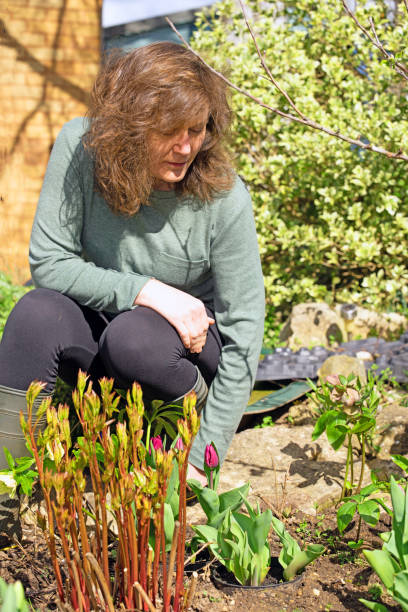 istock Mindfulness in an English spring garden. 1482615191