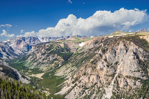 istock Rocky Mountain Canyon Landscape 1482618842