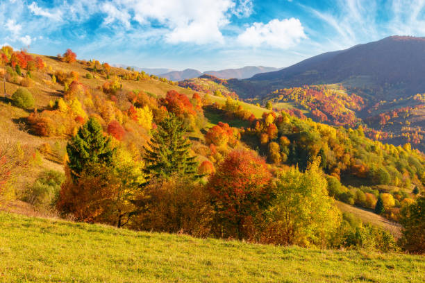 istock beautiful view of stunnng mountain scenery 1482619480