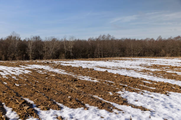 istock agricultural field for planting plants in winter 1482619785