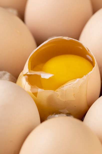 istock a half-broken chicken egg in a tray with a lot of chicken eggs 1482619878