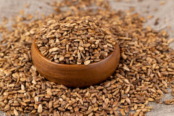 istock heavily fried sunflower seeds close up 1482619928