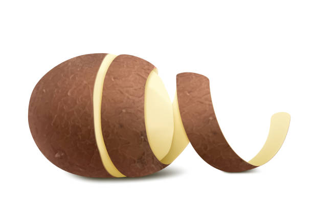 istock Realistic Half Peeled Potato with twisted peel . Close up 3d vector illustration isolated on white background. Food ingredients, 1482620976