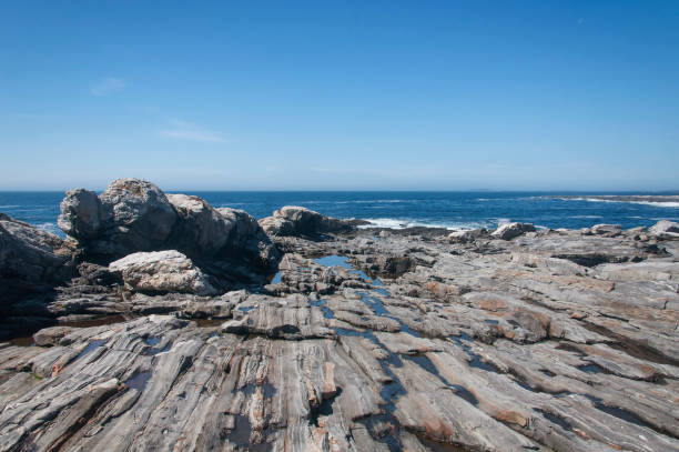 istock Pemiquid Point Landscape Bristol Maine 1482621703