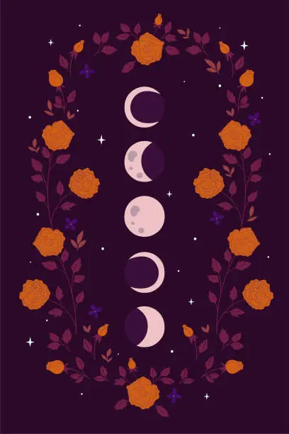 Vector illustration of Moon phases and flowers on a purple background. Vector graphics.