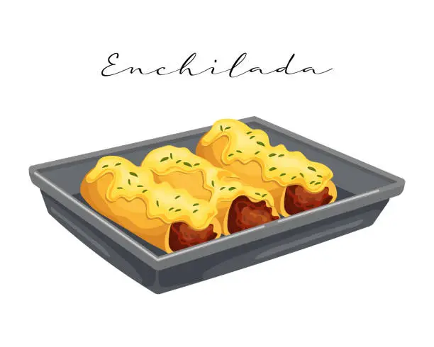 Vector illustration of Enchilada with meat with sauce on a dish, latin american cuisine, mexican national cuisine.