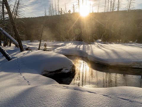 Winter wilderness in Idaho at sunrise along the banks of stream