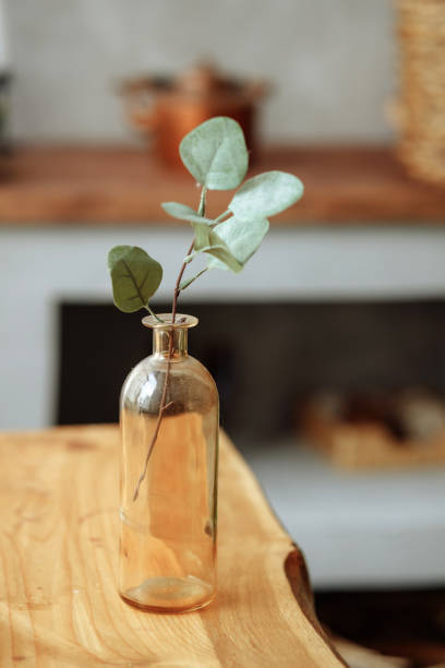 istock Beautiful eucalyptus branches in a glass vase 1482631709