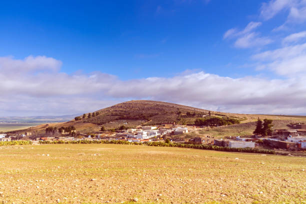 20+ Siliana Photos, taleaux et images libre de droits iStock