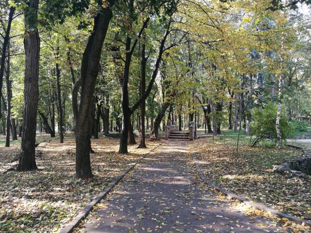 istock Copou Park Iasi in Autumn 1482634541