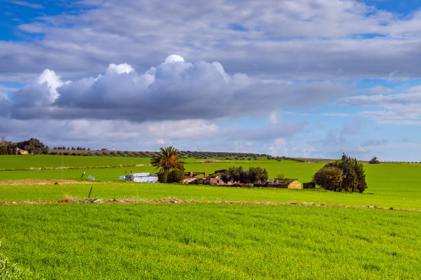 istock Discovering the Countryside Surrounding Mateur in Tunisia 1482634698