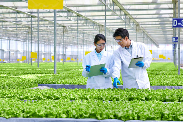 istock Two Young Asian Researcher Examining & Discussion at Smart Greenhouse 1482636227