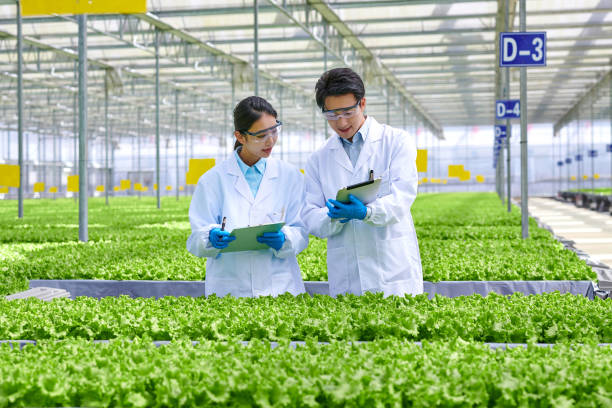 istock Two Young Asian Researcher Examining & Discussion at Smart Greenhouse 1482636232