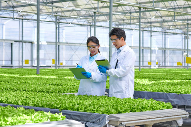 istock Two Young Asian Researcher Examining & Discussion at Smart Greenhouse 1482636247