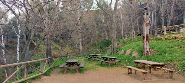 istock picnic area in the field 1482637938