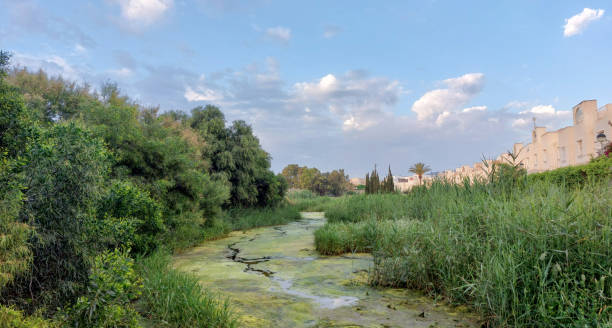 River with country houses and green grove