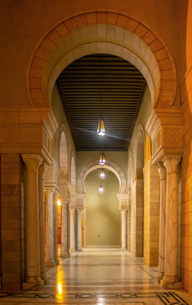 istock Malik ibn Anas Mosque: A Historic Mosque in Carthage, Tunisia 1482638496