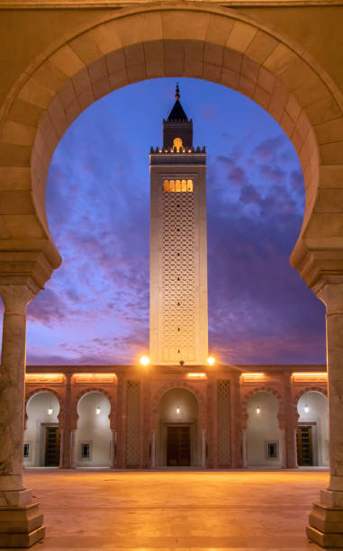 istock Malik ibn Anas Mosque: A Historic Mosque in Carthage, Tunisia 1482638510