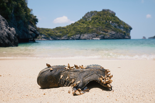 Lost boot with mussels, which was washed up by sea onto beautiful sandy beach on tropical island.