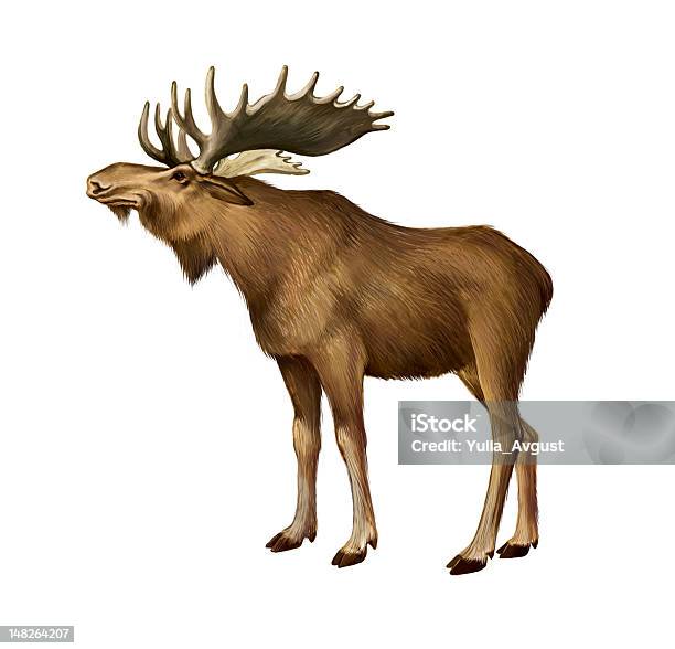 Moose Stock Illustration - Download Image Now - Moose, Photography, Animal