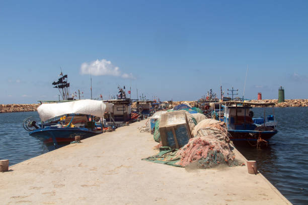 istock Sidi Daoud Port: A Fishing Haven in Nabeul, Tunisia 1482642275