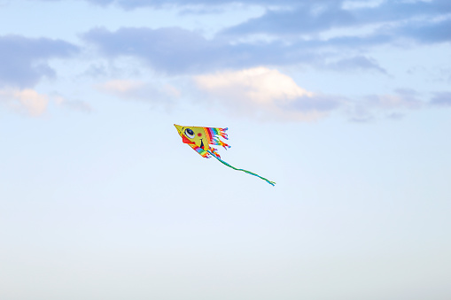 Group of children playing with a parachute in a garden in the North East of England. They are all holding it up together standing in a line.