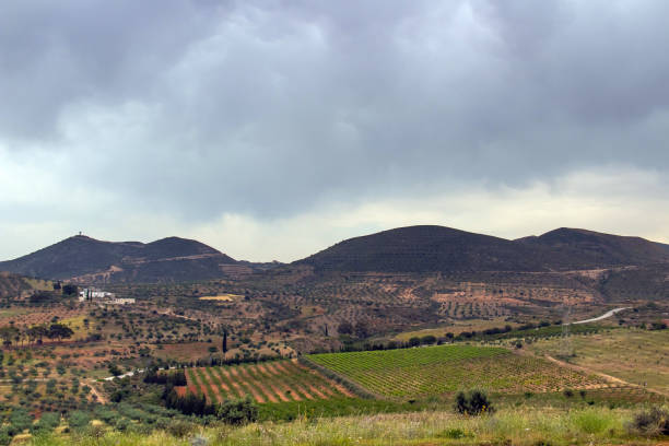 istock Discovering Sidi Thabet: A Rural Town in Northern Tunisia 1482643268