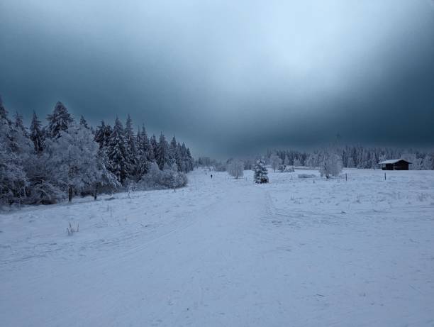 폭풍 전의 검은 숲 - cross country skiing black forest germany winter 뉴스 사진 이미지