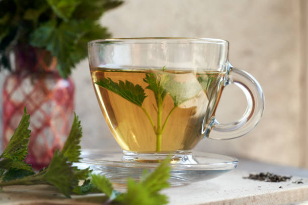 istock A cup of herbal tea with fresh nettles 1482654434
