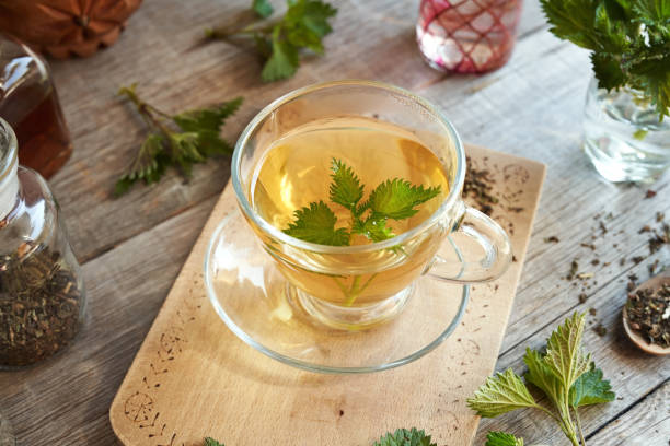 istock A cup of herbal tea with fresh stinging nettles 1482654520