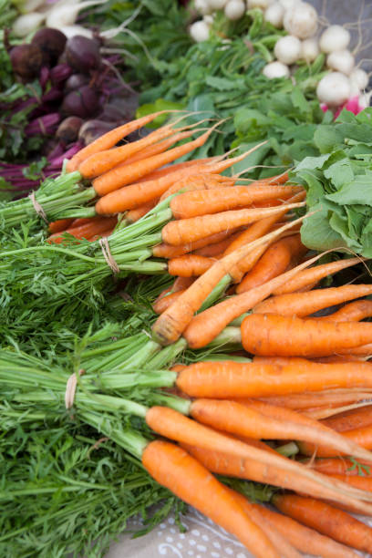 carote fresche al mercato di un contadino - farmers market agricultural fair agriculture beet foto e immagini stock