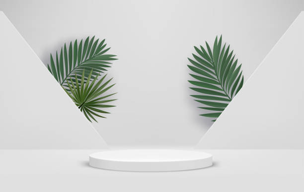 istock Bright interior with portal, podium and green leaves. Eco friendly product showcase template. 3d vector background 1482660106