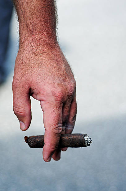 Zigarre in der Hand – Foto