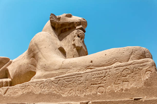 istock Sphinx in Karnak, Luxor. Antique Egyptian Temple Complex. 1482661353