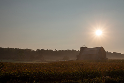 The sun rises over a farm in rural Ontario. The barn is a symbol of agriculture.