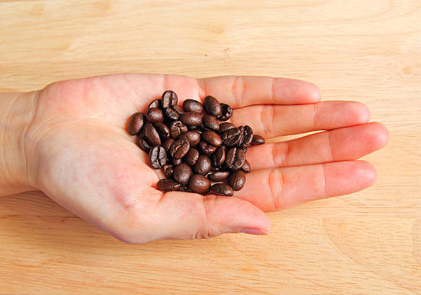 istock hand holding coffee beans on wooden background 148266197