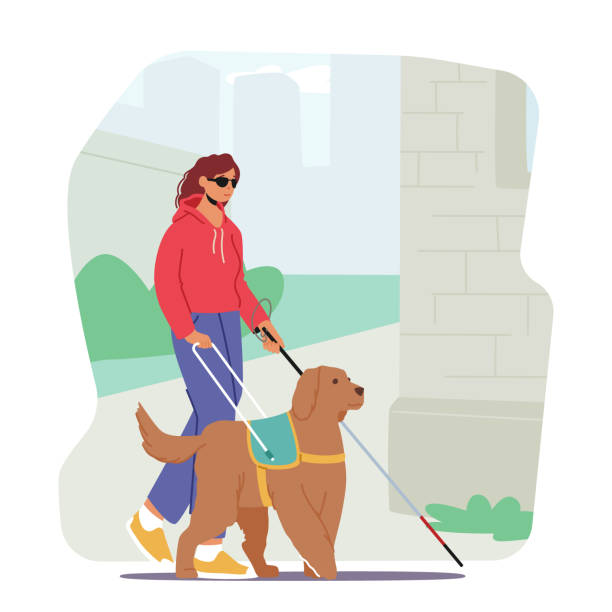 Blind Female Character With A Guide Dog Walks Confidently Down The Street, With Walking Cane and Dog Leading The Way Blind Female Character With A Guide Dog Walks Confidently Down The Street, With Walking Cane and Dog Leading The Way And The Woman Following Closely. Cartoon People Vector Illustration visual impairment stick stock illustrations