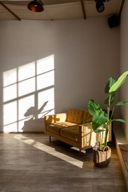 istock sofa on background of shadows from window 1482662883