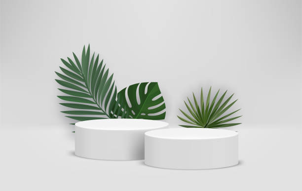 istock Bright room with podium and green leaves. Eco friendly product showcase template. 3d vector background 1482664669