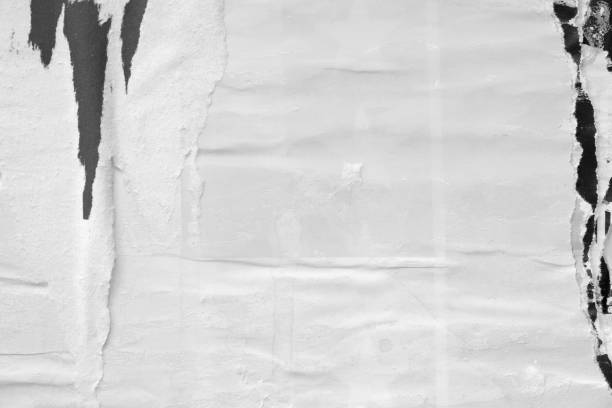 istock Blank white black old ripped torn paper crumpled creased posters grunge textures backdrop backgrounds placard stock photo 1482664724
