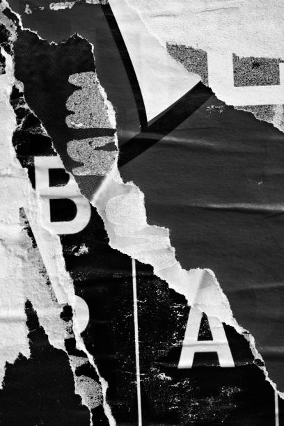 istock Blank white black old ripped torn paper crumpled creased posters grunge textures backdrop backgrounds placard stock photo 1482665160